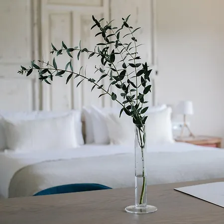 Mas Salagros Ecoresort & Ξενοδοχείο